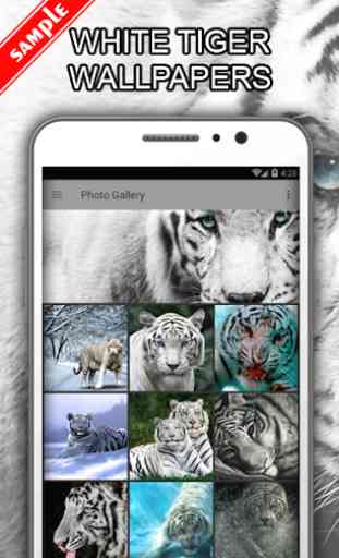 White Tiger Wallpapers 1