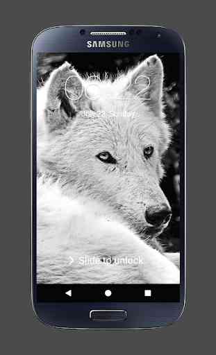 Wolf Lock Screen HD Wallpaper 4