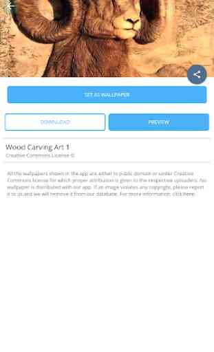 Wood Carving Art 3