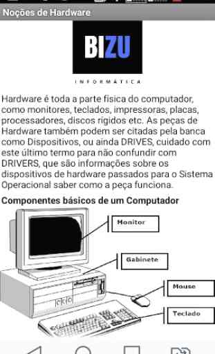 BIZU Informática 4