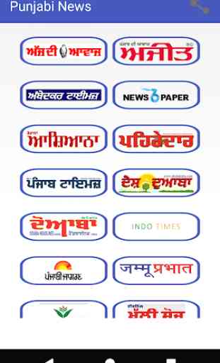 Punjabi News Papers 1