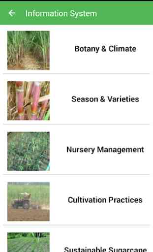 Sugarcane Expert System 3