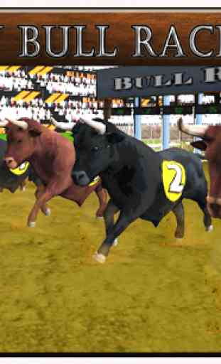 Rodeo Bull Racing Champions 1