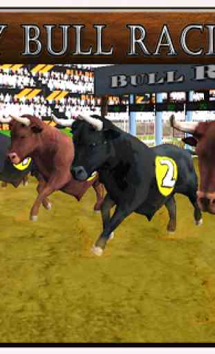 Rodeo Bull Racing Champions 4