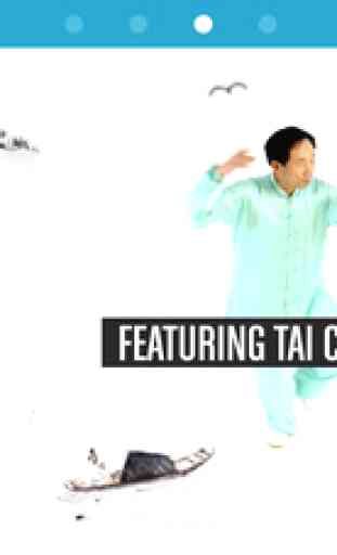 Taichi Temple - Learn Tai Chi & Qi Gong with Motion Tracking 4