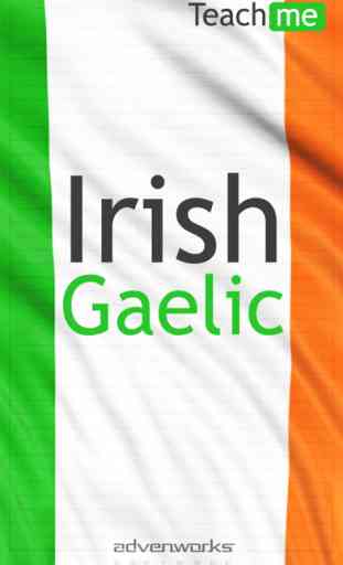 Teach Me Irish Gaelic 1