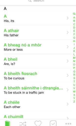 Teach Me Irish Gaelic 2