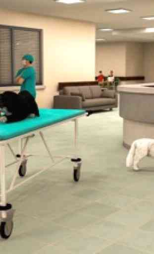 Pet Hospital Animal Doctor Vet 3
