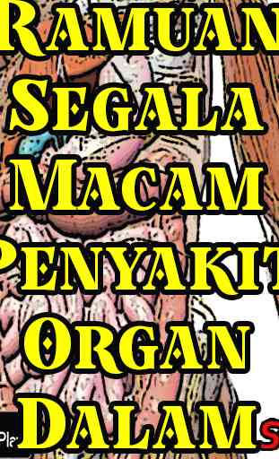 Ramuan Segala Macam Penyakit Organ Dalam 1