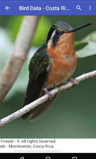 Bird Data - Costa Rica 1