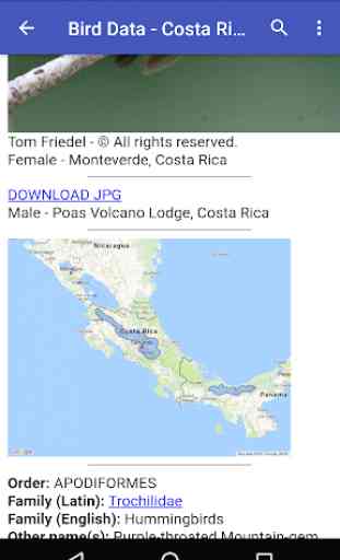 Bird Data - Costa Rica 4