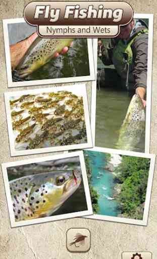 Fly Fishing Nymphs and Wets 1