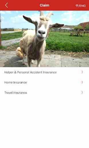 iPlus Insurance 2