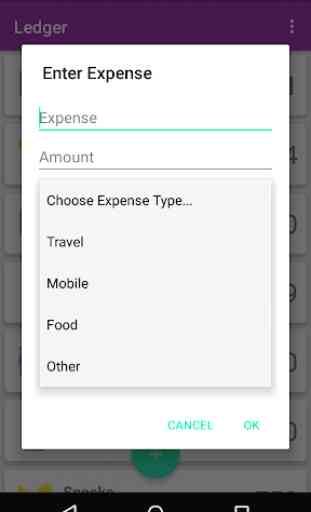 Ledger: Keep track of Expenses 3