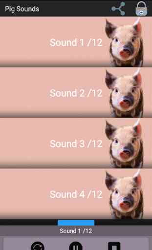 Pig Sounds 1