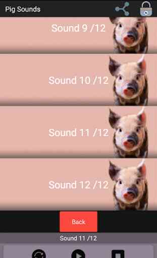 Pig Sounds 3