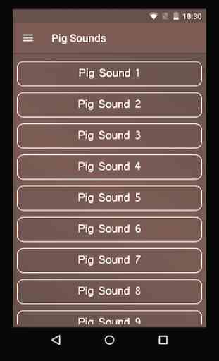 Pig Sounds 1