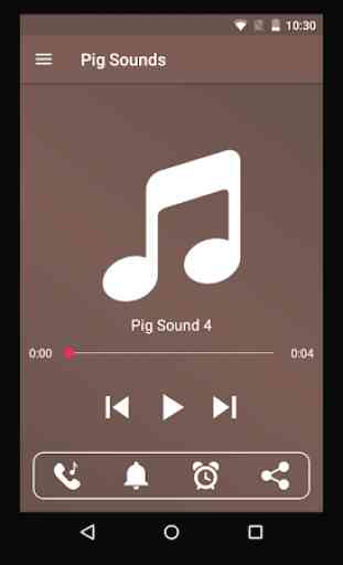 Pig Sounds 2
