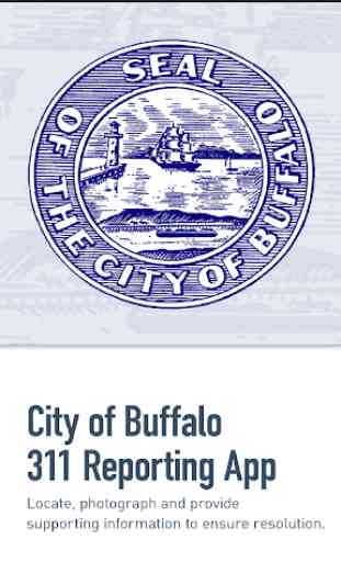 Buffalo 311 1