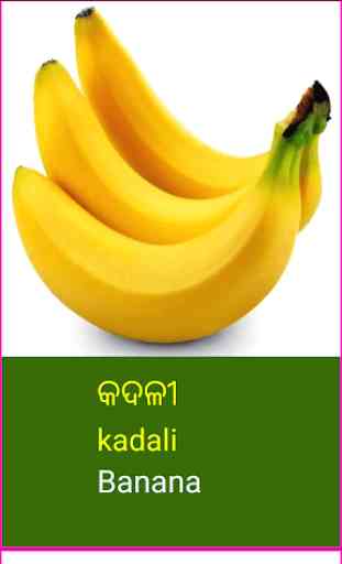 Learn Odia Fruits and Vegetables Names 4