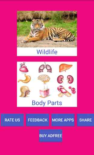Learn Odia Wildlife and Body Parts Names 1