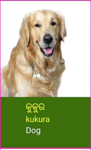 Learn Odia Wildlife and Body Parts Names 3