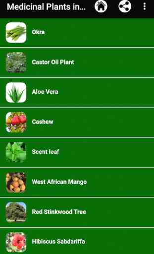 Medicinal Plants in Africa 2