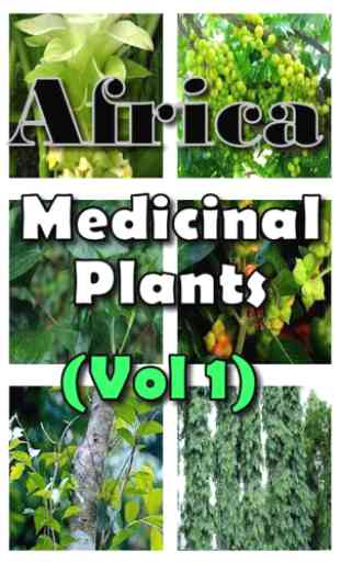 Africa Medicinal Plants 1