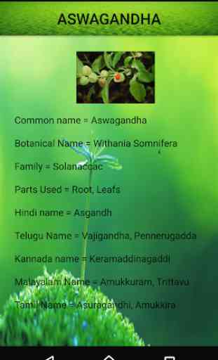Medicinal Plants and Its Uses 1