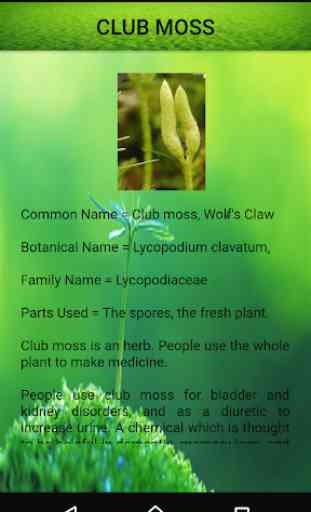 Medicinal Plants and Its Uses 4