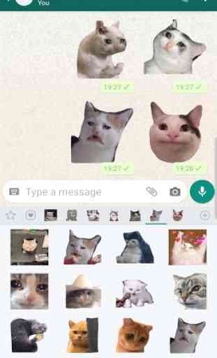 New Funny Cat Memes Stickers WAStickerApps 1