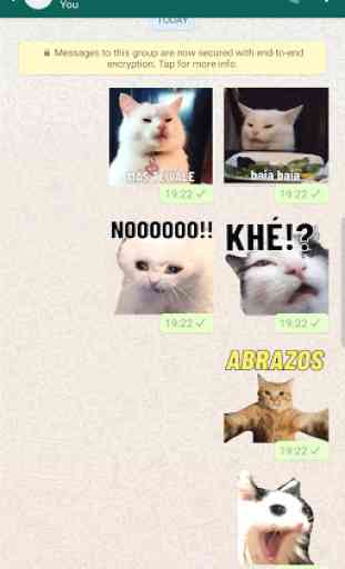 New Funny Cat Memes Stickers WAStickerApps 2