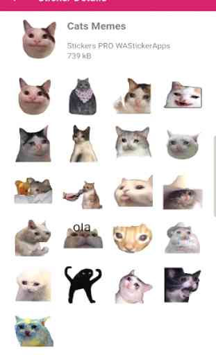 New Funny Cat Memes Stickers WAStickerApps 3