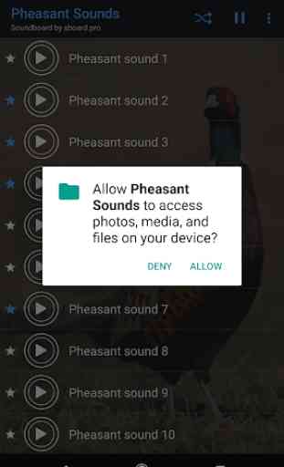 Pheasant sounds ~ Sboard.pro 2