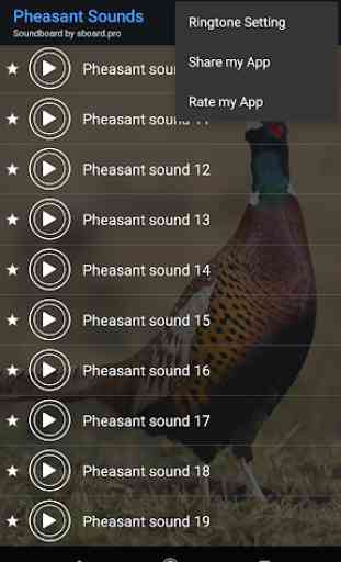 Pheasant sounds ~ Sboard.pro 4