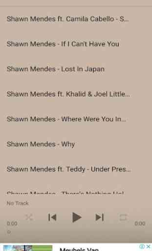 Shawn Mendes Best Songs 1