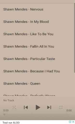 Shawn Mendes Best Songs 2