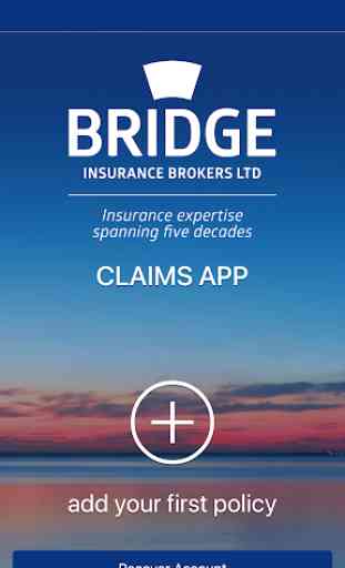 Bridge Insurance Brokers Ltd 3