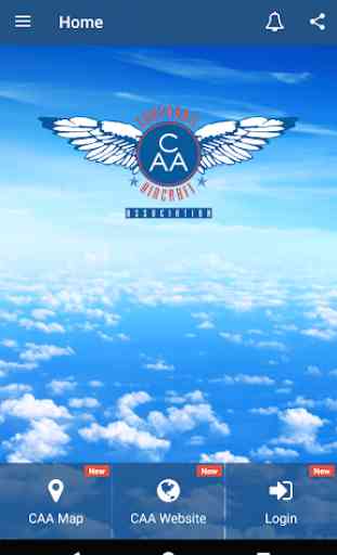 Corp Aircraft Association V2 1