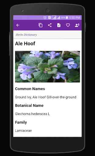 Herbs Dictionary 1