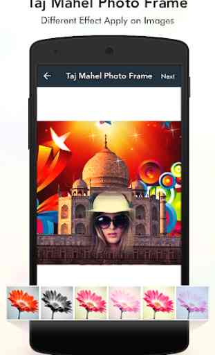 Taj Mahal Photo Frame 4