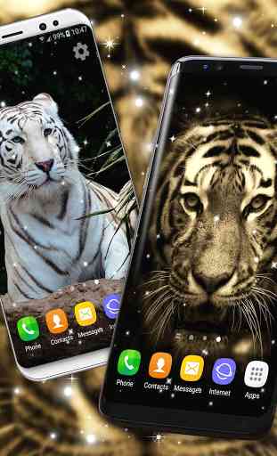 Tiger HD Live Wallpapers  1