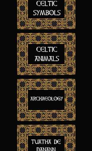 Celtic Druidry Handbook 4