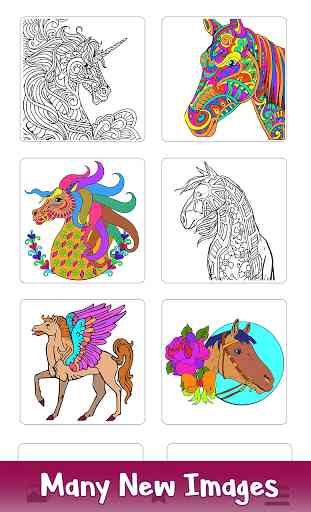 Horse Color by Number - Adult Coloring Book pages 1