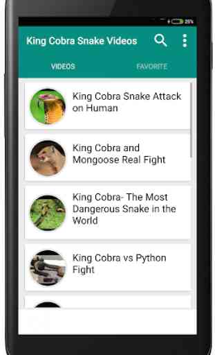 King Cobra Snake - Videos 1