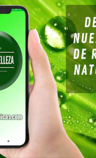 Salud Y Belleza Al Dia - Remedios Naturales Gratis 1