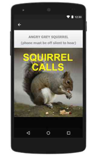 Squirrel Calls for Hunting UK 2