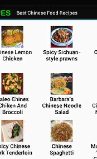 Chinese Food Recipes 3