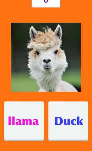 Tic Toc: Llama Duck 2