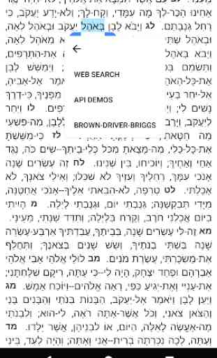 Brown-Driver-Briggs Hebrew Dictionary 1